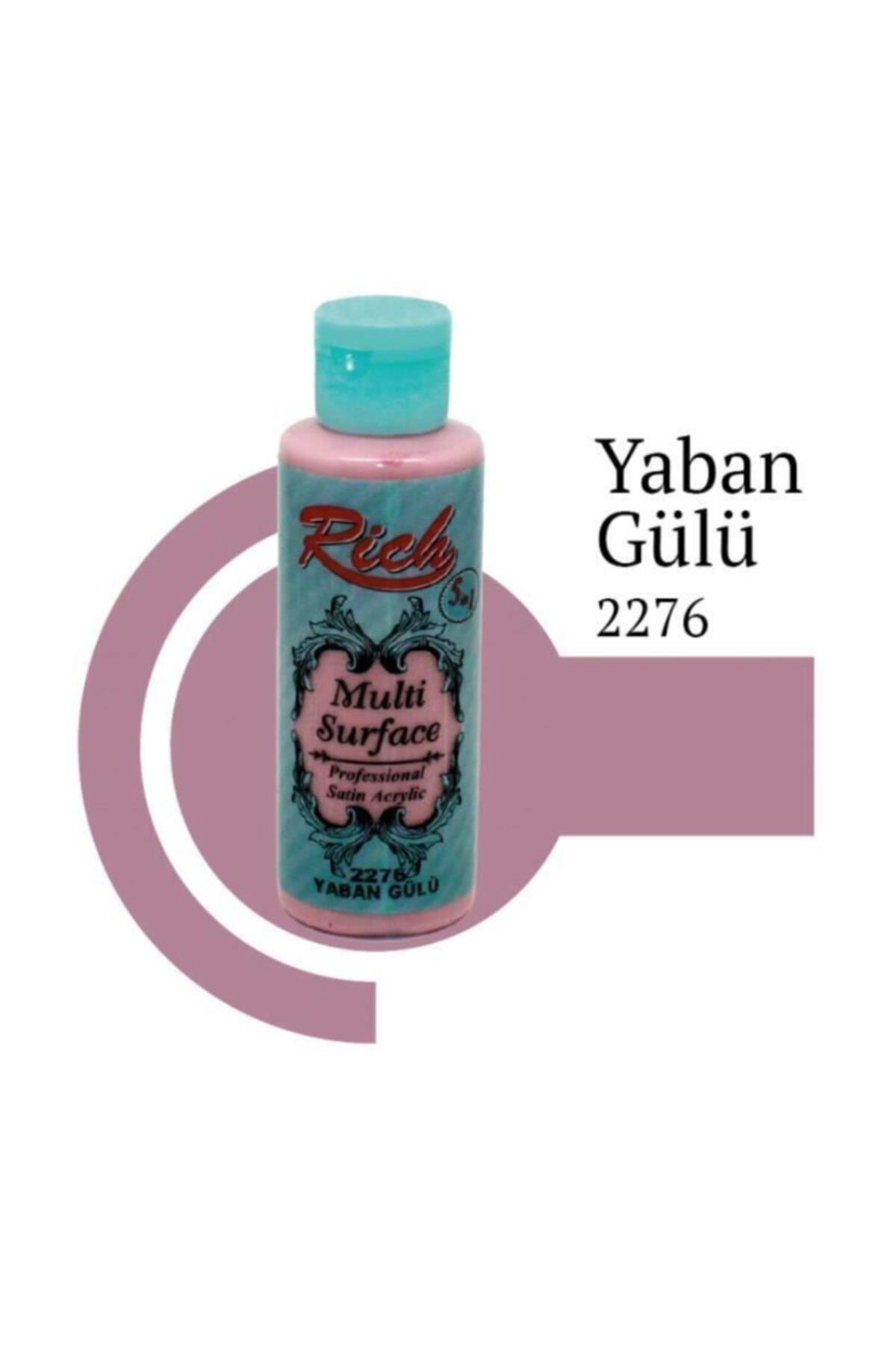 Rich Multi Surface Akrilik Boya 120 cc - 2276 Yaban Gülü